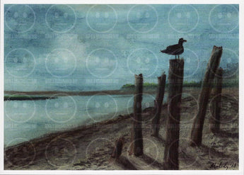 The Postman Sand Lake Estuary Oregon Coast Bird Art Print