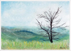 Shenandoah National Park Blue Ridge Parkway Skyline Drive Virginia Tree Art Print
