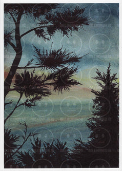 Shore Pines Sneak Peek Hwy 101 Oregon Coastal Shoreline Art Print